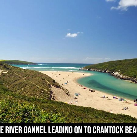 Town Location - 5 Min Walk To Beach - Dog Friendly New Quay Kültér fotó
